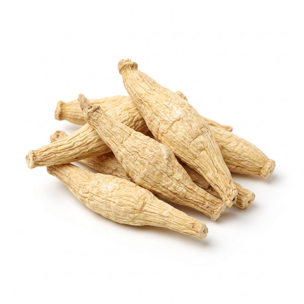 Stemona Root