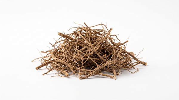 Phryma Root